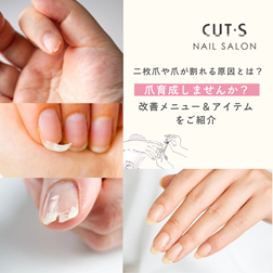 二枚爪や爪が割れる原因とケア方法をご紹介