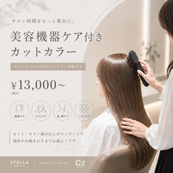ステラボーテ EMSリフトブラシ