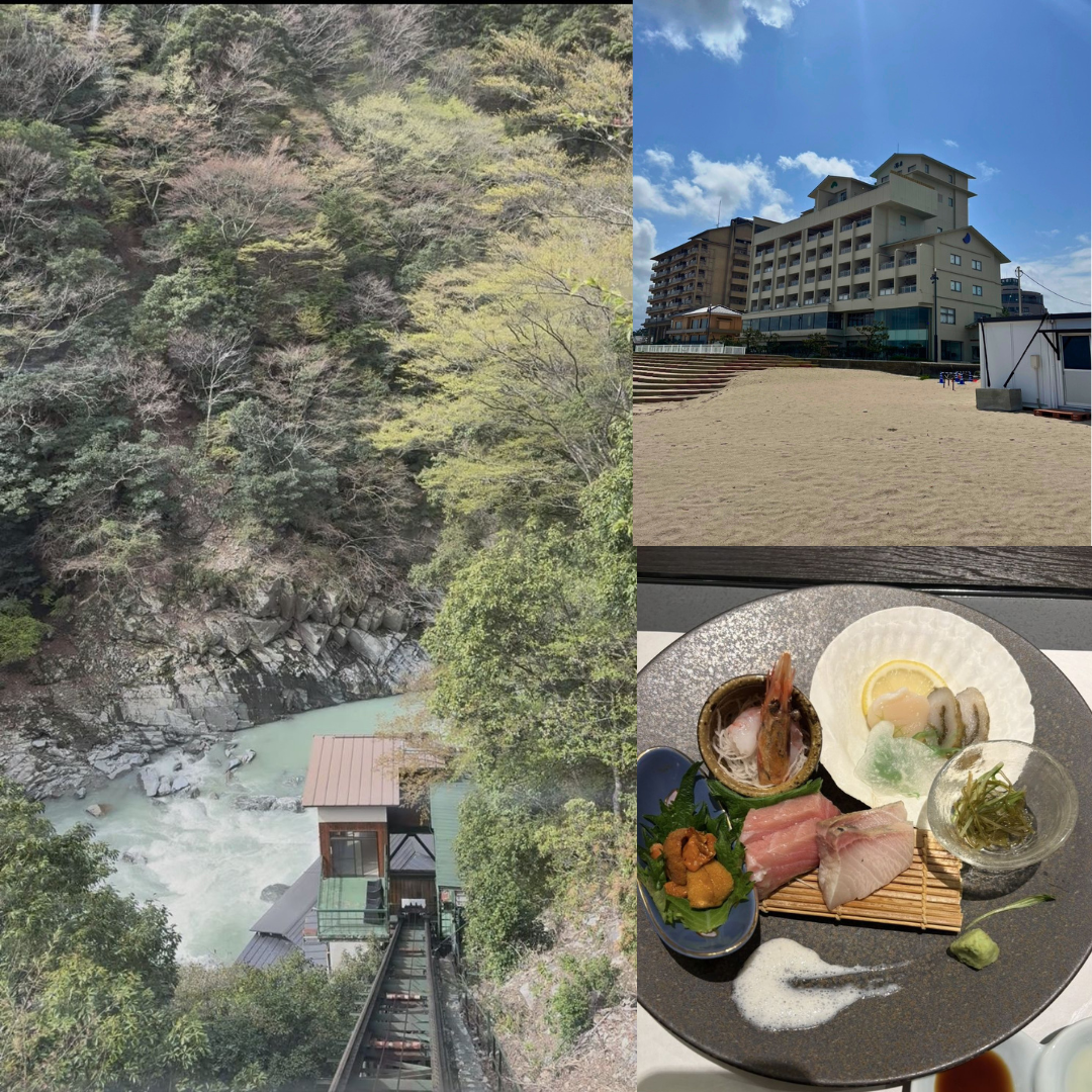 藤井 結愛 マイブーム